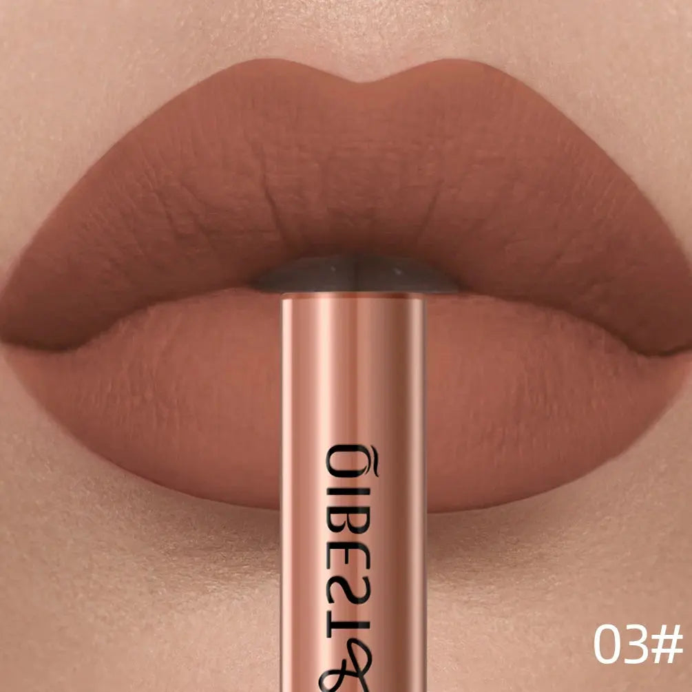 QIBEST Matte Liquid Lipstick Waterproof Long Lasting Velvet Lip Gloss Tint Tube Matte Nude Pigment Red Lipgloss Lips Makeup High Class Cosmetics
