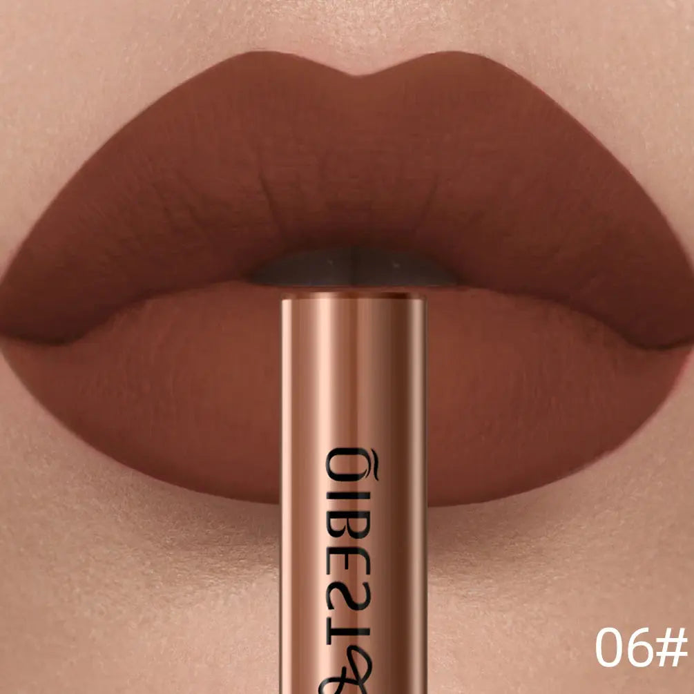 QIBEST Matte Liquid Lipstick Waterproof Long Lasting Velvet Lip Gloss Tint Tube Matte Nude Pigment Red Lipgloss Lips Makeup High Class Cosmetics